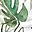 Coprispalla Antirigurgito, Tropical Leaf - 4 Strati di 100% Mussola di Cotone Trapuntata Coprispalla Antirigurgito, Tropical Leaf - 4 Strati di 100% Mussola di Cotone Trapuntata