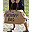 Mommy Bag Borsa Fasciatoio - 55 x 30 x 40 cm - Teddy Beige - Include materassino per il cambio! Mommy Bag Borsa Fasciatoio - 55 x 30 x 40 cm - Teddy Beige - Include materassino per il cambio!