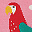 Pacco da 3 Calzini Rock my Socks - Pappagallo - Cotone Bio Pacco da 3 Calzini Rock my Socks - Pappagallo - Cotone Bio