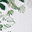 Coperta + Carte Età - 120 x 120 cm - Tropical Leaf - 100% Mussola di Cotone Coperta + Carte Età - 120 x 120 cm - Tropical Leaf - 100% Mussola di Cotone