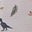 Astuccio per la Scuola - Dino Dark Sandy - 20,5x30 cm
