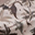 Completo Impermeabile Antipioggia - Dino Raindrop