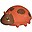 3-in-1 Sonaglio Coccinella - Massaggiagengive - Gioco da Bagno - Garden Animals - 100% Caucciù Naturale