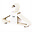 Set 15 Appendiabiti Bambini in Paglia di Grano - Crema - Design Slim Set 15 Appendiabiti Bambini in Paglia di Grano - Crema - Design Slim